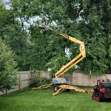 Best Seasonal Cleanup (Spring/Fall)  in Gypsum, CO