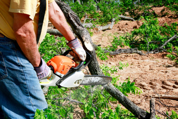 Mulching Services in Gypsum, CO